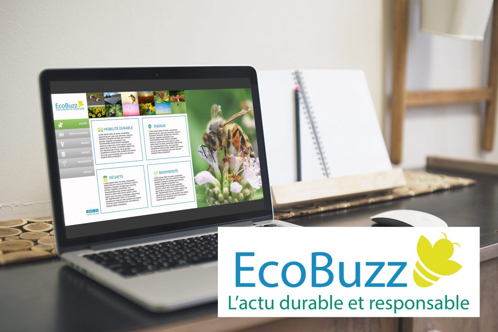 Site d'actualités EcoBuzz